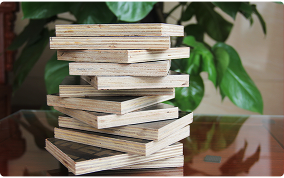 1603333136267976.png 优势图1.png